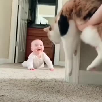 Cat Plays Hide and Seek with Baby