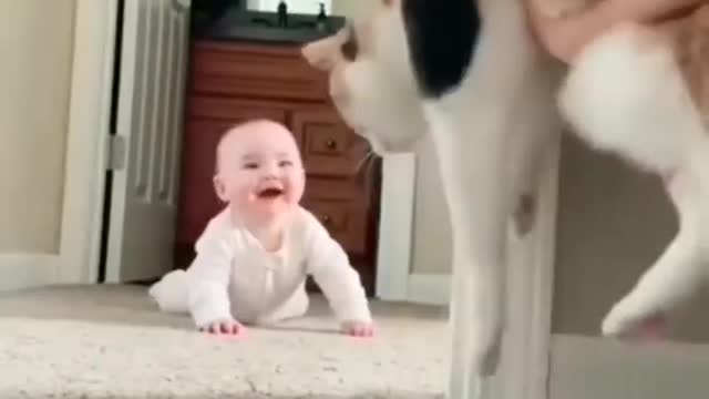 Cat Plays Hide and Seek with Baby