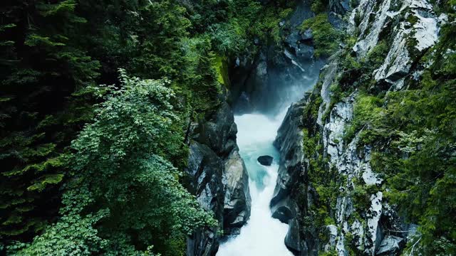 Nature