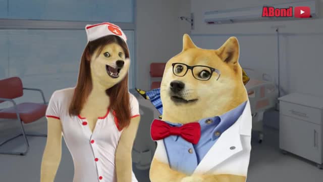 doge funny