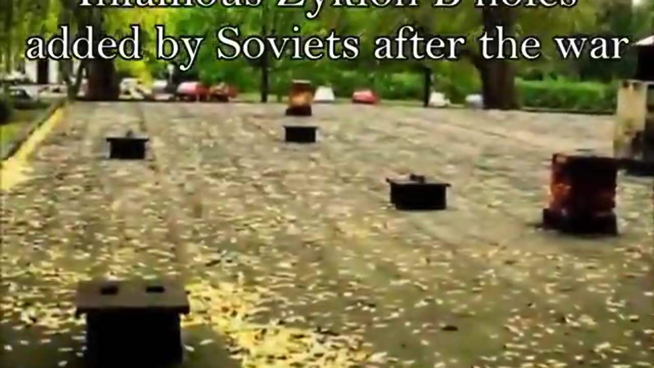 THE HARD FACTS OF THE HOLOCAUST