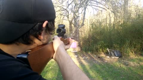 Classic Ruger 10-22LR (old vid)