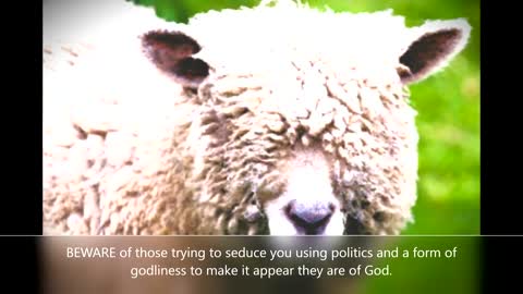 Pulling The Wool Over Your Eyes
