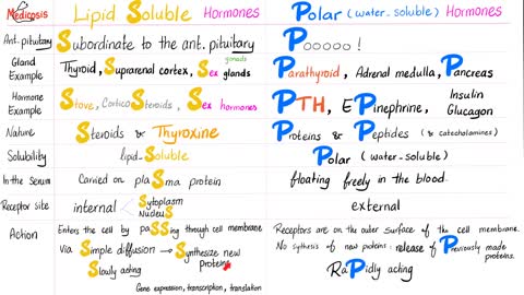 Hormone Biochemistry (Genomic vs Non-genomic Actions).