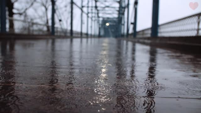 Rainy Bridge