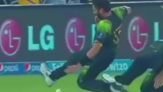 fans-video cricket lovers-video #cricket #cricketlover