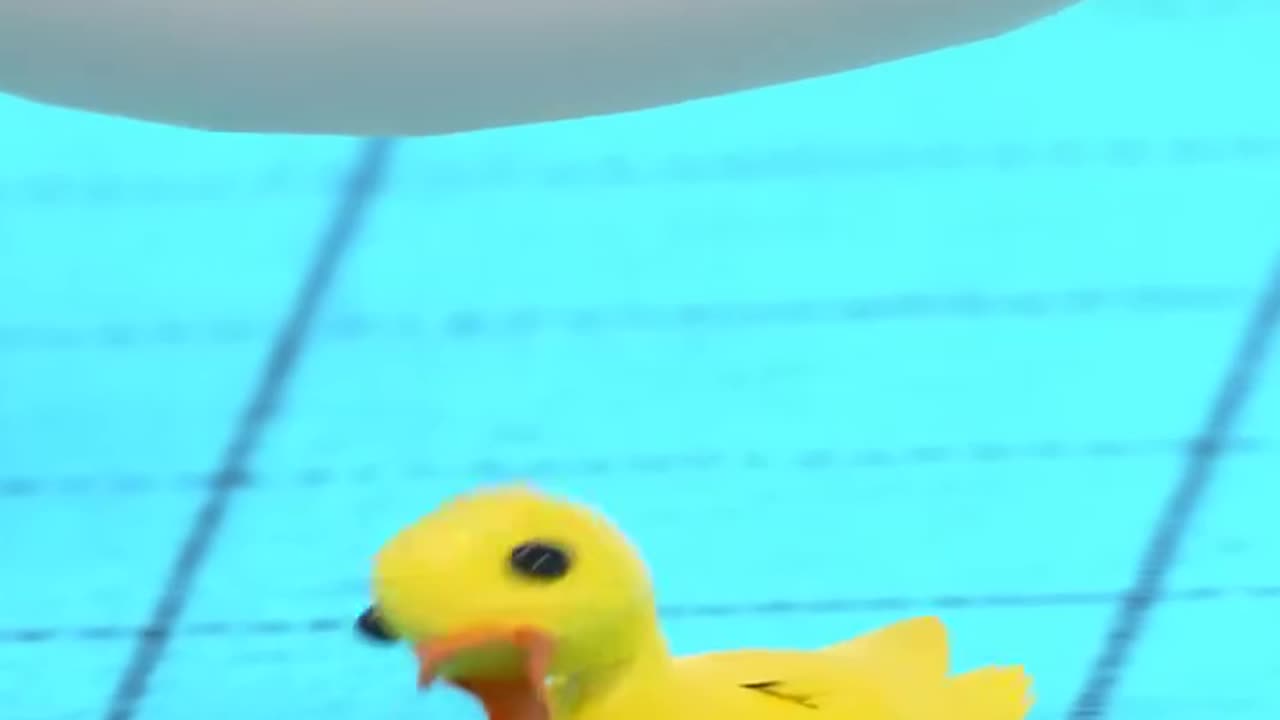 The little duck being pinched by fingers~ #Hahahafun