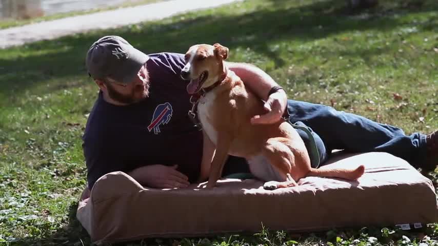 Big Barker Orthopedic Dog Bed with Pillow