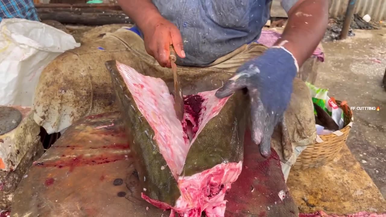 KASIMEDU 🔥 MR GOVINDH | 41 KG GIANT BROWN COBIA FISH CUTTTING | IN KASIMEDU