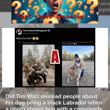 Fact Check: Tim Walz Did NOT Mislead People About His Dog -- Brown & White Dog In A Post Is NOT His