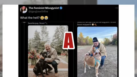 Fact Check: Tim Walz Did NOT Mislead People About His Dog -- Brown & White Dog In A Post Is NOT His