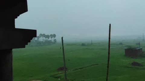 Rain in my backyard