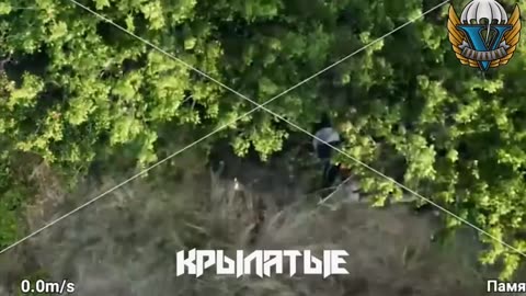 Drone operators tracked down some Ukrainians running through the forests of the Kursk region