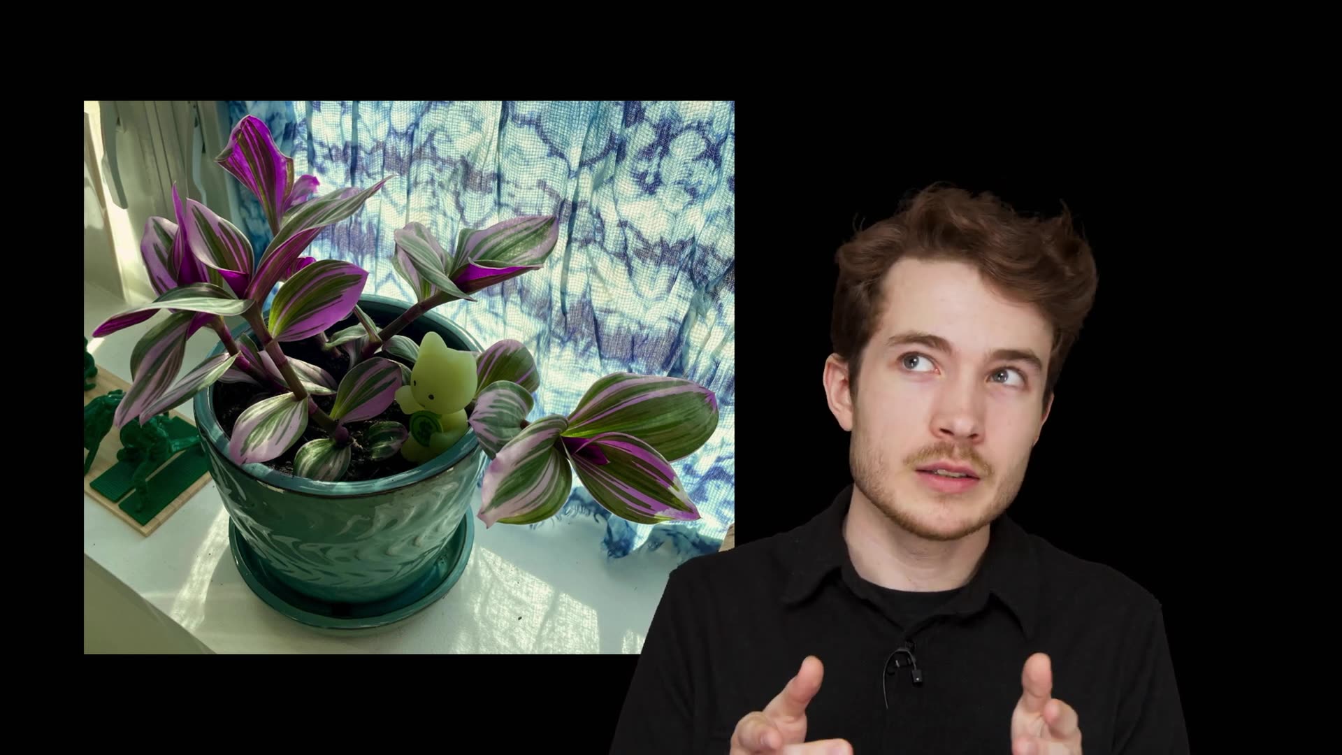 While Loops Cs50p Shorts