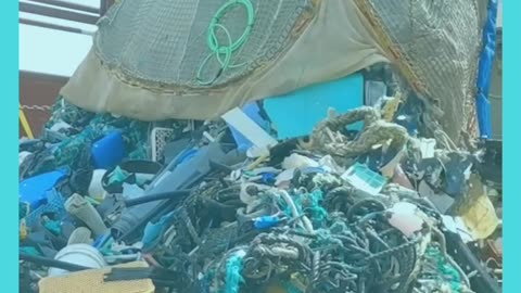 Massive extraction of garbage from the Pacific seaas