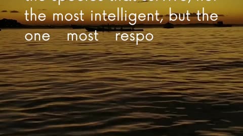 Have you considered the importance of adaptability?
