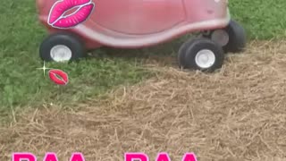 SNAPPIN' GRANNIES - NEW GRAND-KIDS ON THE FARM