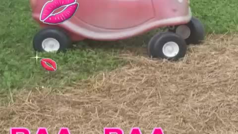 SNAPPIN' GRANNIES - NEW GRAND-KIDS ON THE FARM
