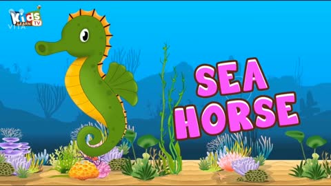 Sea birds knowledge for kids_ helpful for kids