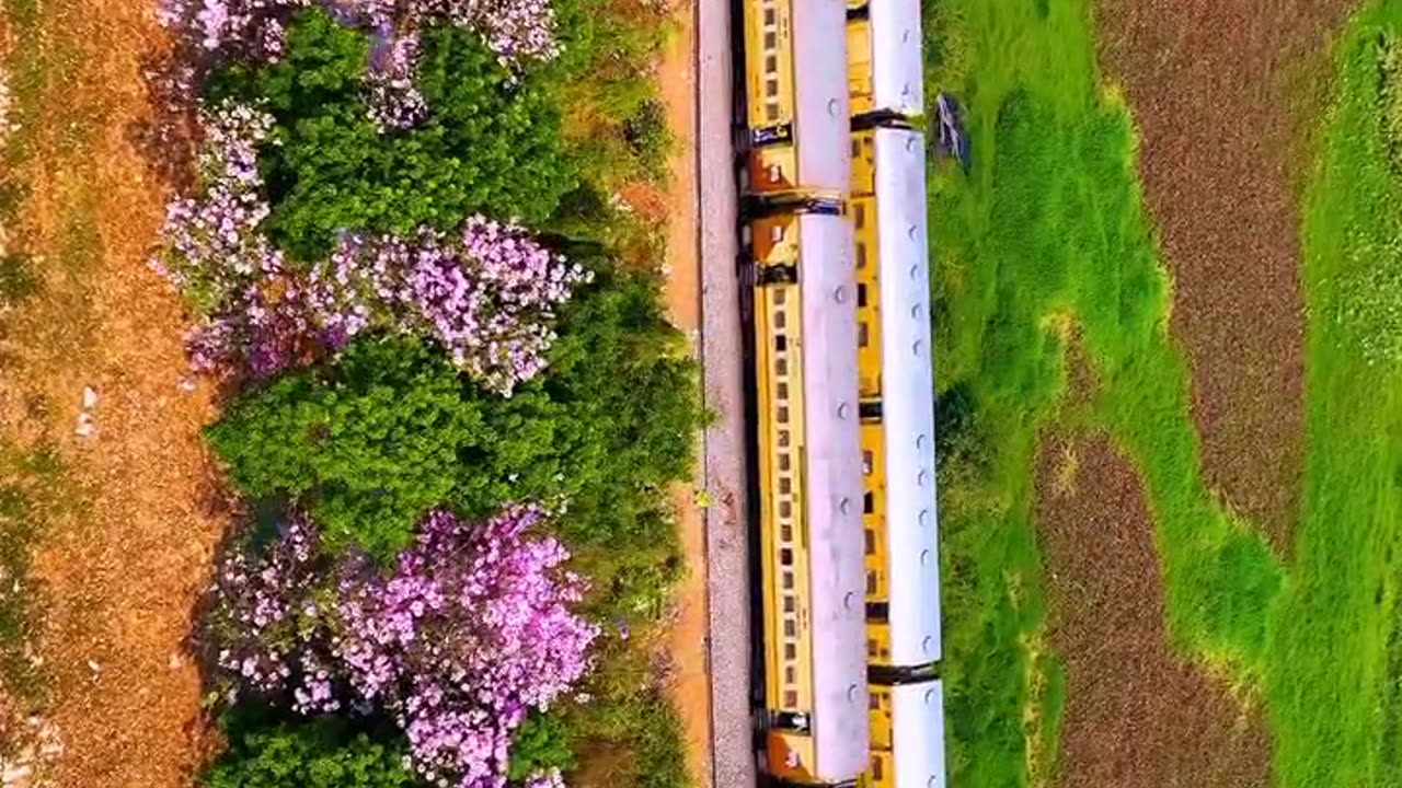 Bengaluru India