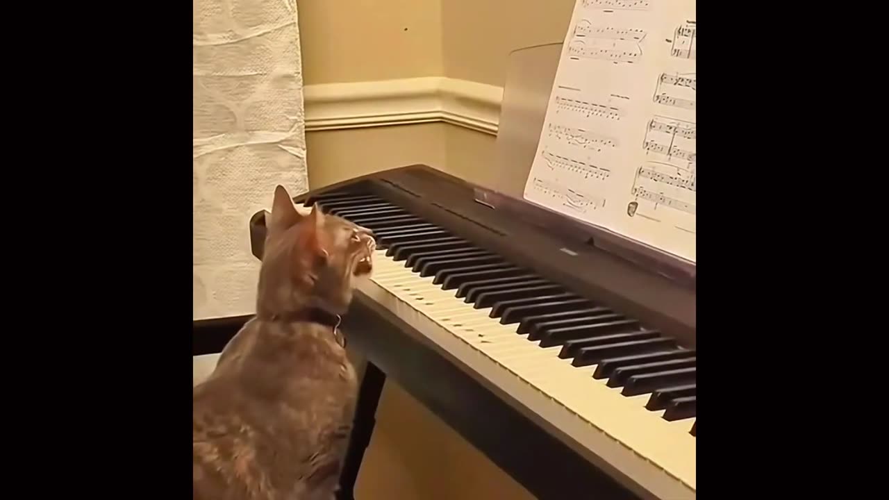 Funniest Animal Videos of 2024 Try Not to Laugh Challenge 🤣 Part 10