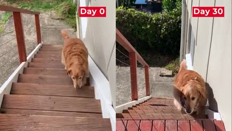 Watch Duke's 30 Day Mobility Makeover!