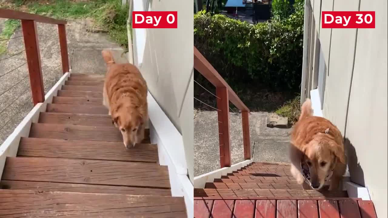 Watch Duke's 30 Day Mobility Makeover!