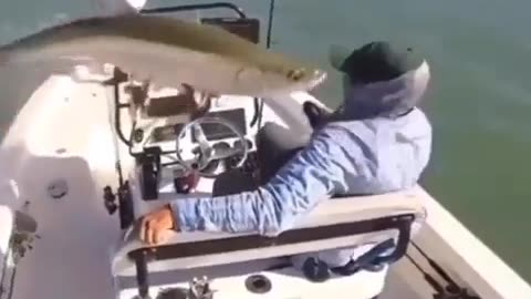 Fish made fun of hunters