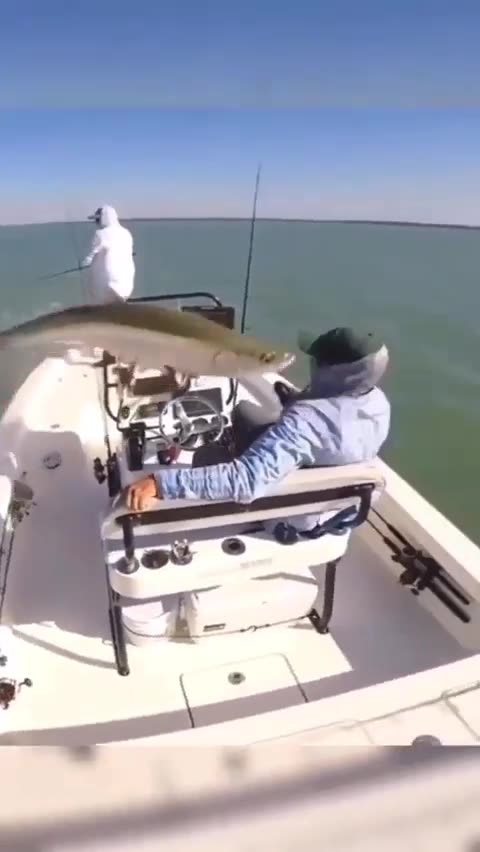 Fish made fun of hunters