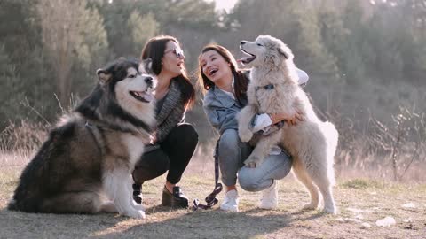 Dog with lady