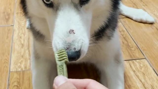 Hims just wants hims snacc