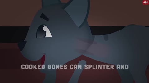 The Common mistakes of Cats Owner Make