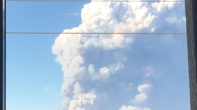 Hummingbird doesn't care about Wildfire