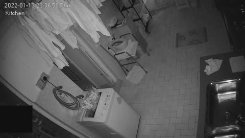 kitchen day and night 20220113