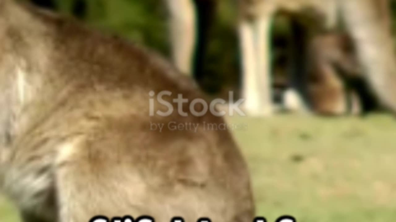 Natural