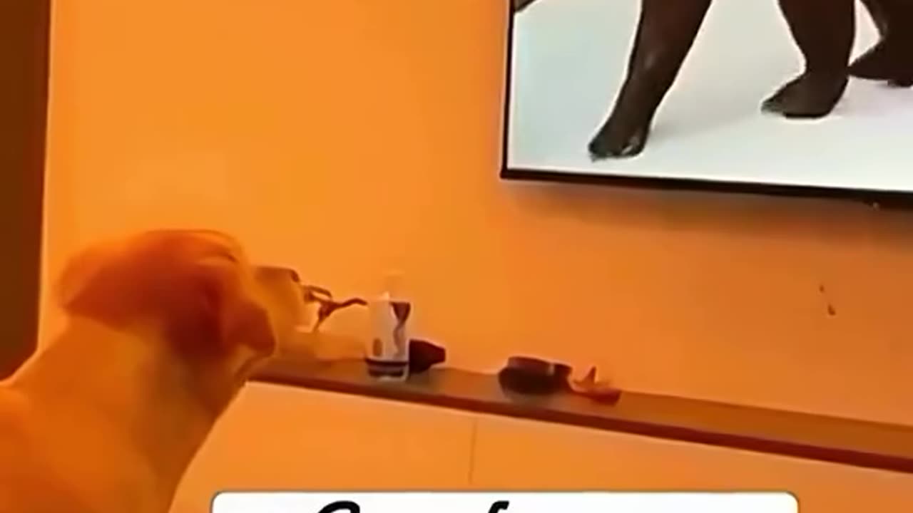 funny