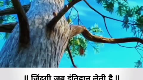 Life in exam