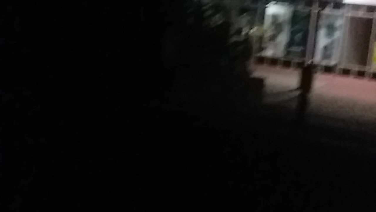 10.4.2024 In The Dark Kuranda