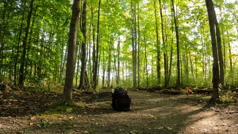 🍂 Hiking Every Trail In Ottawa Eh! 🍁🍂 🍃🥬 Welcome To Fall Edition🌿 Oct 8th 2024🌿🍀🍃🥬 Survival Kits 🪖⛑️🆘🚁