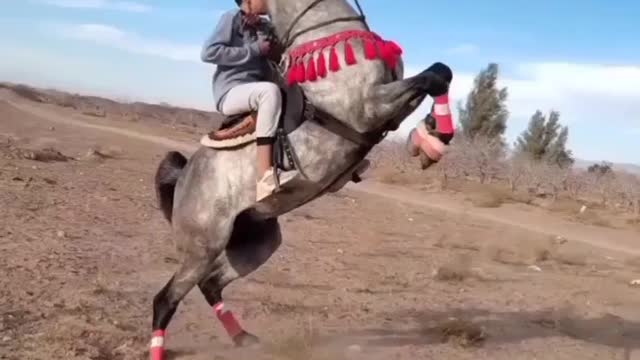 Performing dramatic movements of a boy with a horse
