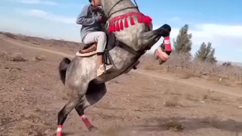 Performing dramatic movements of a boy with a horse