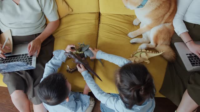 Best dog to play children.