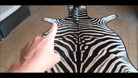 One of my best zebra skins in stock