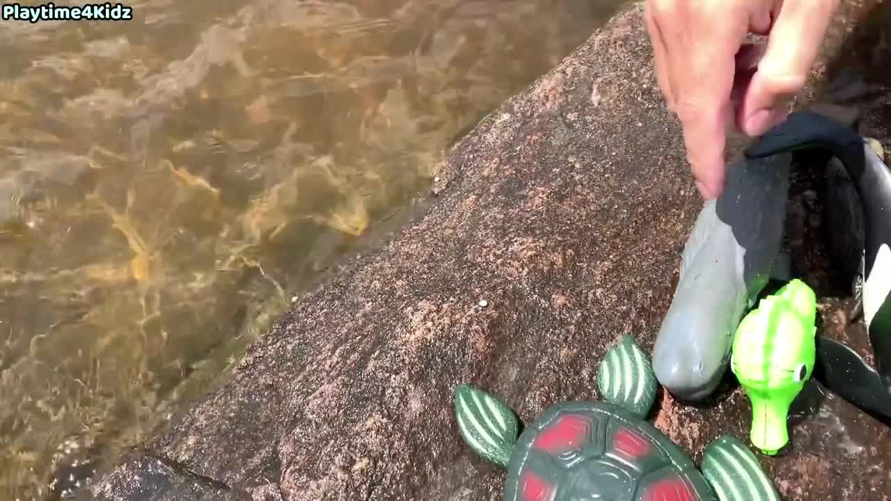 Sea Animal Toys This Summer at the Shore