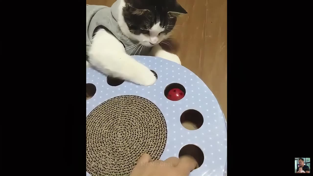 Funny/Cute Animal Moments Part 5