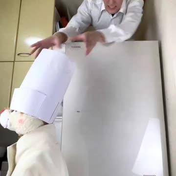 ISSEI funny video 😂😂😂 Ratatouille 2022 Part-40