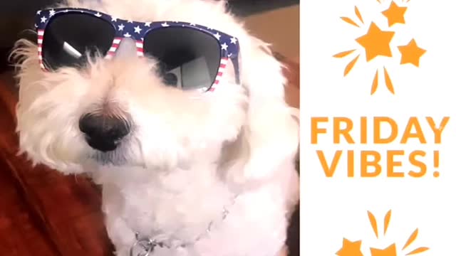 Friday Vibes 🎊