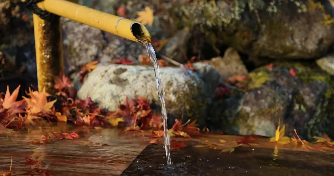 Sound of spring water flowing down from bamboo 1 hour Relax