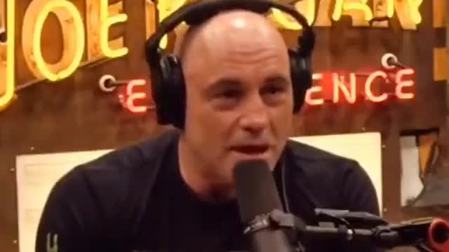 Joe Rogan - "Deep State is 100% true"