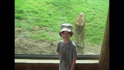 Childs Playing at the Zoo.